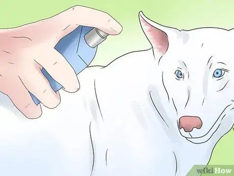 Image titled Get Rid of Fleas and Ticks in Your Home Step 1