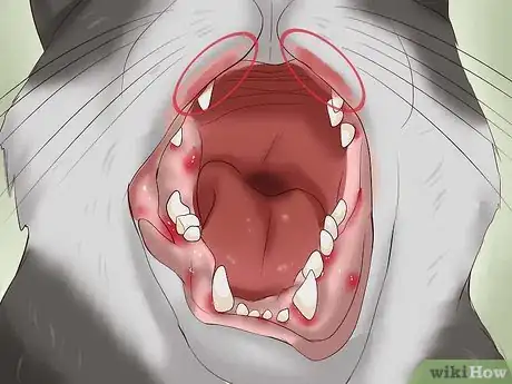 Image titled Clean a Cat's Teeth Step 21
