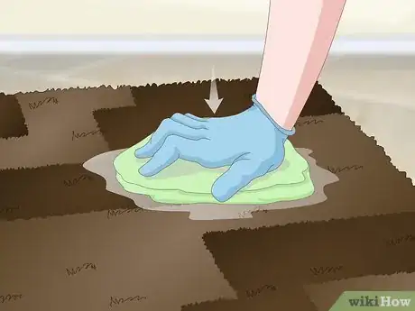 Image titled Get Dog Urine Smell out of Carpets Step 11