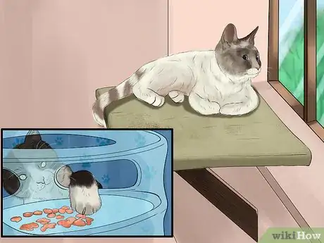 Image titled Know if Your Cat Is Getting Enough Sleep Step 9