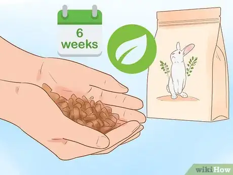 Image titled Feed Your Rabbit with Pellets Step 11