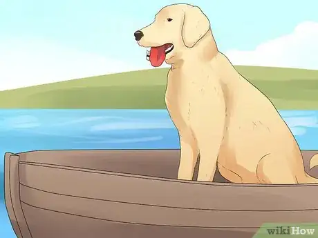 Image titled Train Your Dog to Hunt Step 10