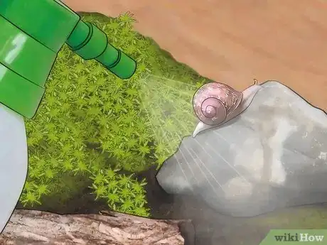 Image titled Care for Garden Snails Step 11