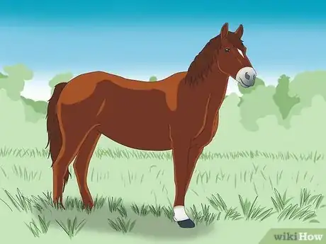 Image titled Choose the Right Breed of Horse for You Step 1