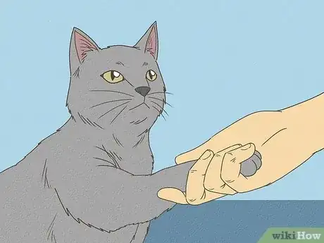 Image titled Teach Your Cat to Do Tricks Step 14