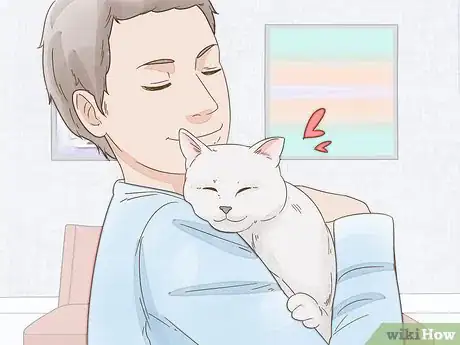 Image titled Get Your Cat to Purr Step 3