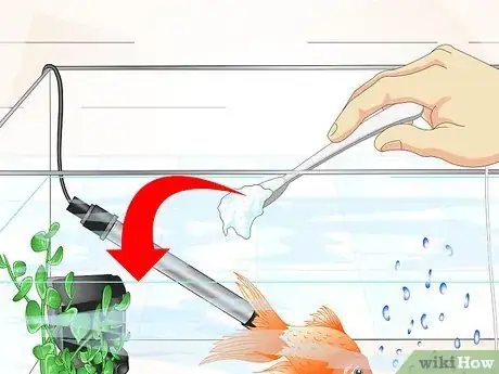 Image titled Cure Goldfish Ich Step 12
