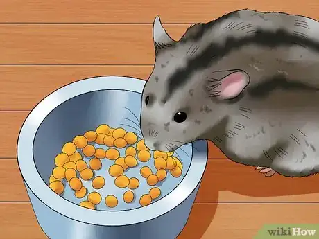Image titled Prepare Carrots for Your Hamster Step 7