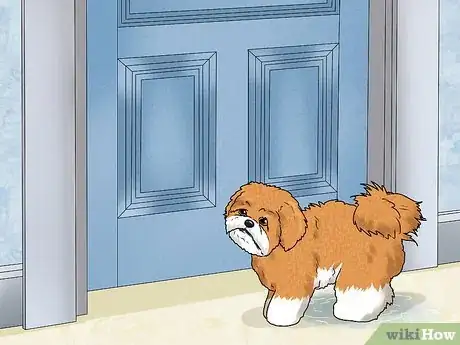 Image titled Treat a Dog UTI Step 7