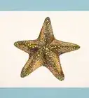 Draw a Starfish