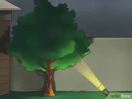 Image titled Accent Trees With Outdoor Lighting Step 10