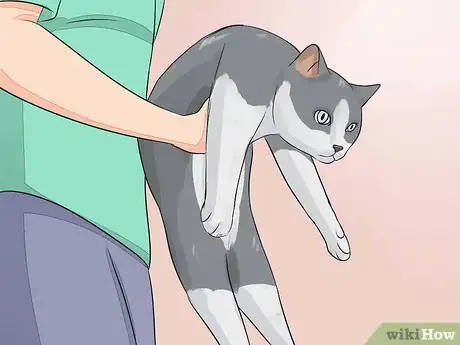 Image titled Give Your Cat Nose Drops Step 9