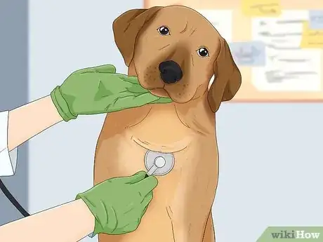 Image titled Prepare a Dog for Air Travel Step 5