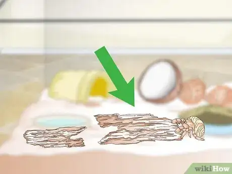 Image titled Decorate Your Hermit Crab's Tank Step 12