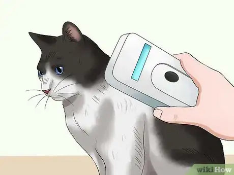 Image titled Microchip Your Cat Step 8
