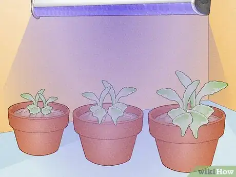 Image titled Do LED Grow Lights Emit UV Rays Step 2