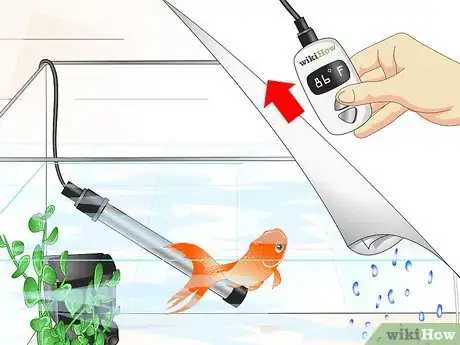 Image titled Cure Goldfish Ich Step 10