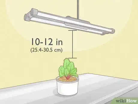 Image titled Grow Vegetables With Grow Lights Step 4