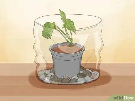 Image titled Propagate Your Plants Step 10