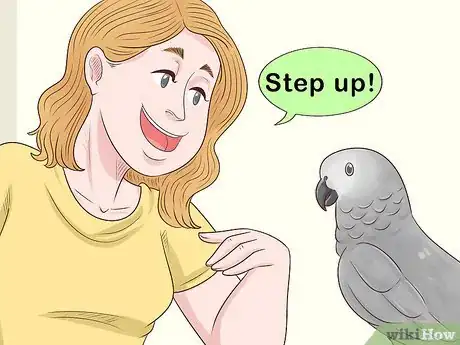 Image titled Entertain an African Grey Parrot Step 4