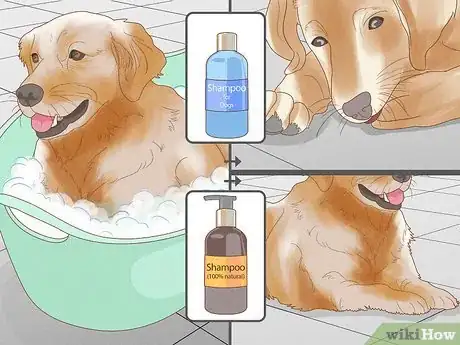 Image titled Stop a Dog from Licking Its Paws with Home Remedies Step 9