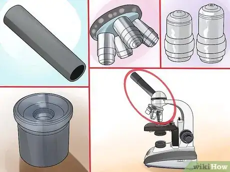 Image titled Use a Compound Microscope Step 3