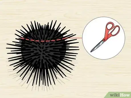 Image titled Eat Sea Urchins Step 3