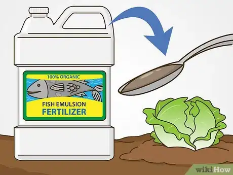 Image titled Grow Iceberg Lettuce Step 16