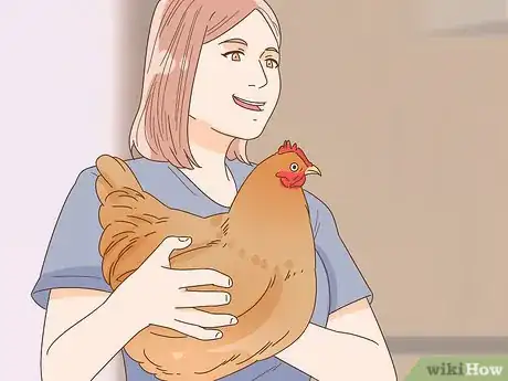 Image titled Tame a Chicken Step 10