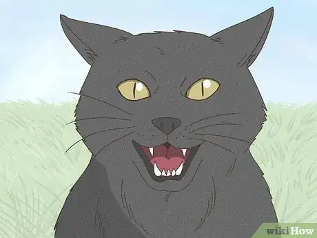 Image titled Calm an Aggressive Cat Step 13