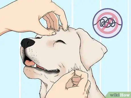 Image titled Wash a Dog's Face Step 2