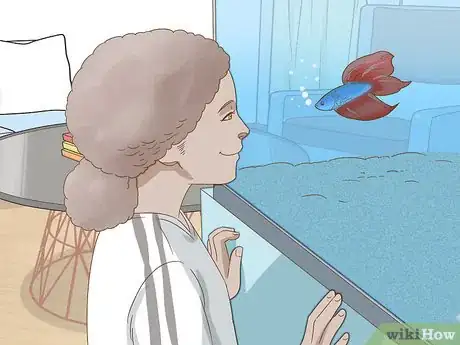 Image titled Grow a Bond With Your Betta Fish Step 11