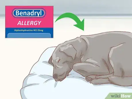 Image titled Determine Benadryl Dosage for Dogs Step 5