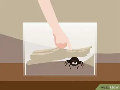 Image titled Overcome the Fear of Spiders Step 07