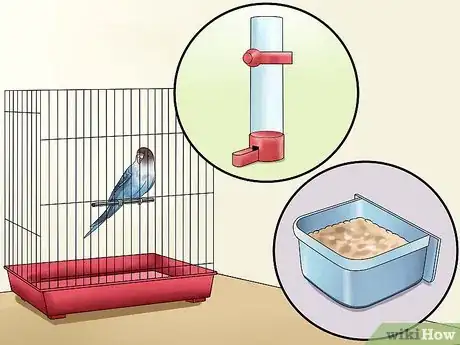 Image titled Gain Your Parakeet's Trust Step 2