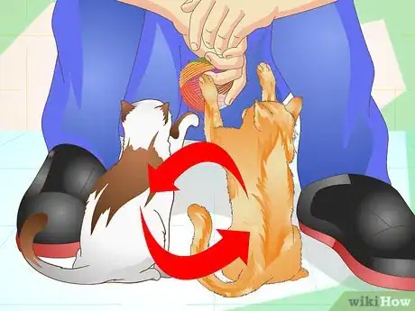 Image titled Prevent a Cat from Spraying Step 6