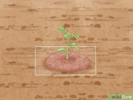 Image titled Stake Tomato Plants Step 11