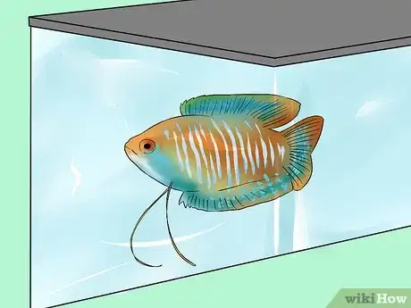 Image titled Start a Fish Hatchery Step 8