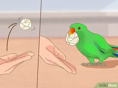 Image titled Play with a Large Parrot Step 1