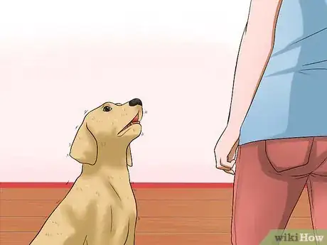Image titled Make a Dog Stop Biting Step 16