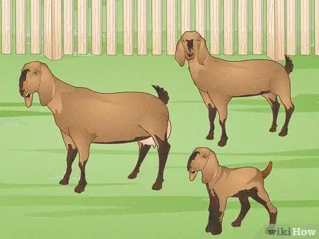 Image titled Raise Goats Step 6