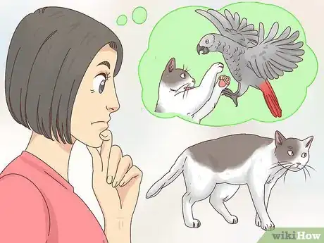 Image titled Choose an African Grey Parrot Step 5