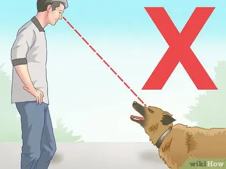 Image titled Stop a Dog Chase from Becoming an Attack Step 2