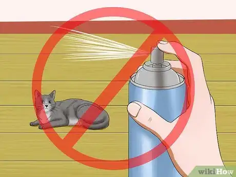 Image titled Stop a Cat from Pulling Its Hair Out Step 4