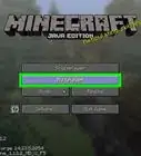 Cheat in Minecraft