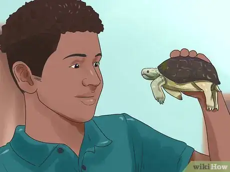 Image titled Keep Your Turtle Happy Step 4