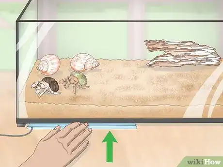 Image titled Create a Hermit Crab Habitat Step 4