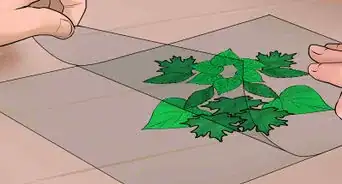 Make a Leaf Collage