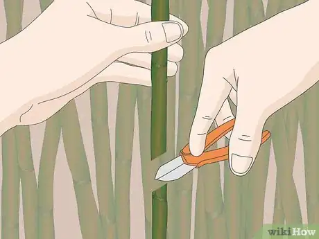 Image titled Make Bamboo Straws Step 2