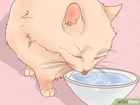 Image titled Put Your Cat on a Diet Step 14